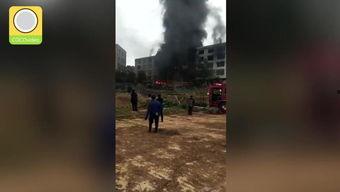 着火报警搞笑视频,笑料横生！搞笑视频带你领略火灾现场“欢乐时光”